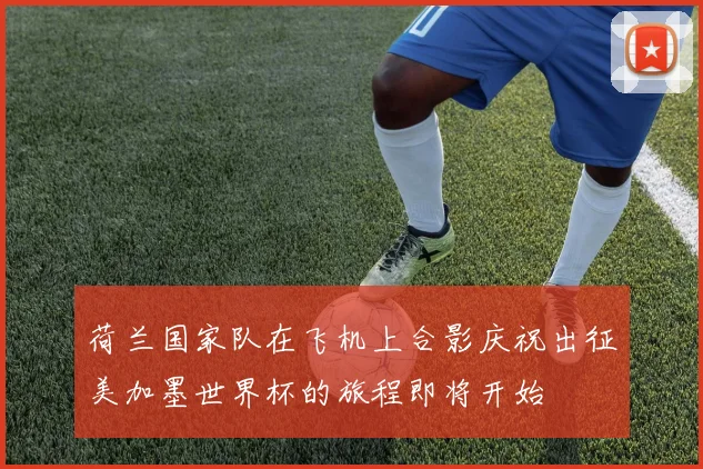荷兰国家队在飞机上合影庆祝出征美加墨世界杯的旅程即将开始